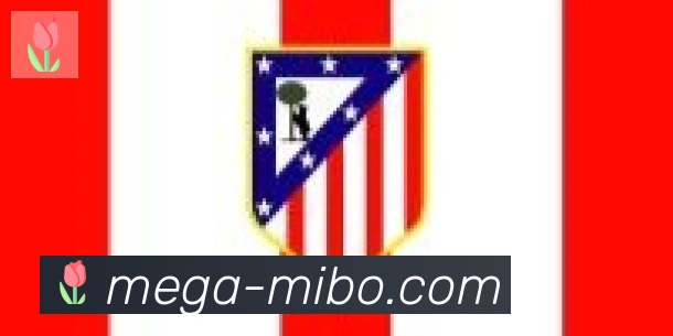 米博体育合作伙伴